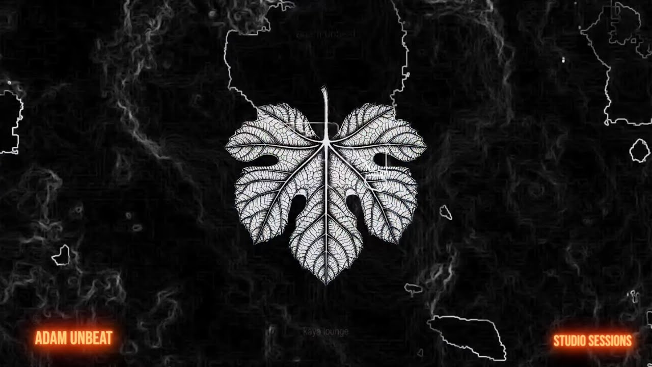 Speakeasy Presents - Studio Sessions