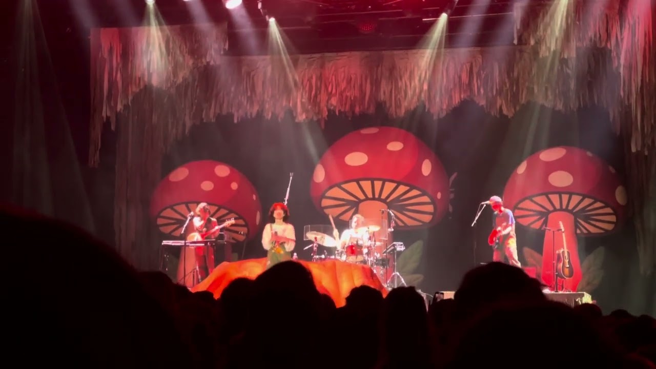 sweet tooth by cavetown live vancouver 06/15/24