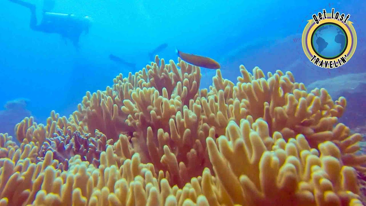 3 Popular Scuba Dive Spots Perhentian Islands Malaysia 4K