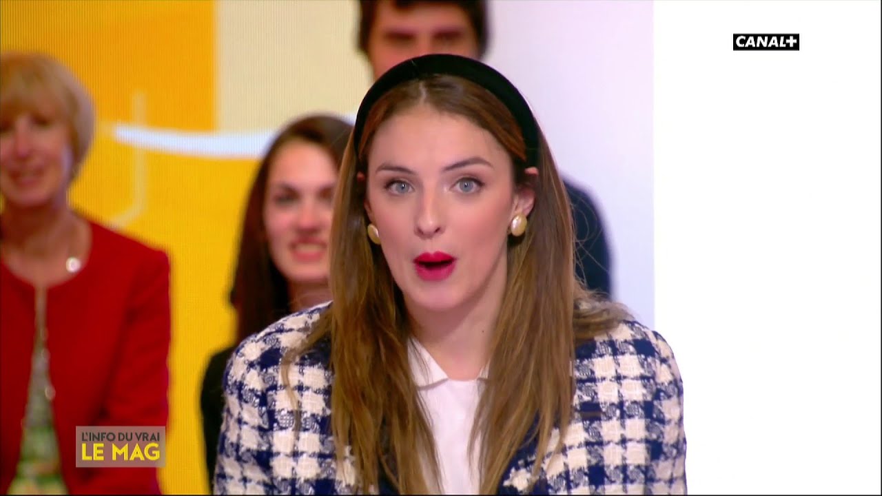 L'histoire de Sidonie - L'Info du Vrai du 15/04 - CANAL+