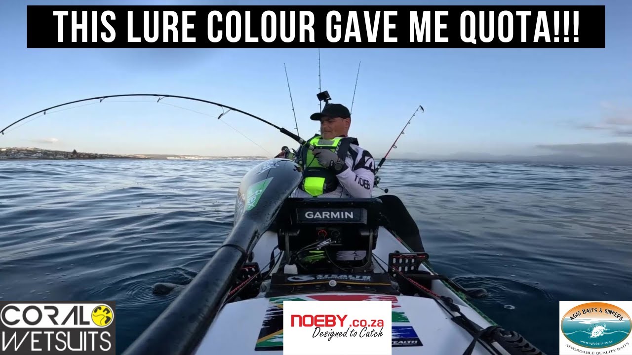This lure colour gave me quota in tough conditions!!!