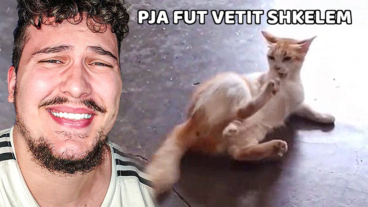 M'dulen LOTET duke QESH..