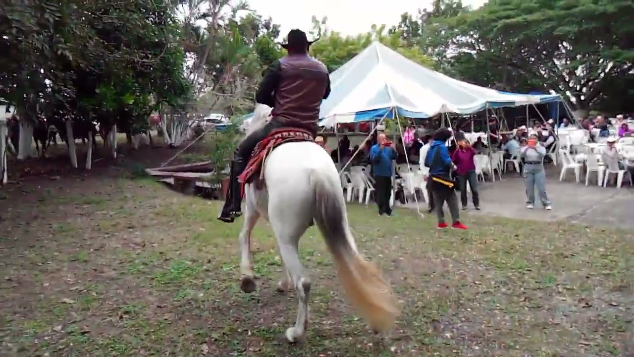 17 ENE 2026 NALUA VIDEO 48 CABALGATA MIGUEL ANGEL ELIZALDE M