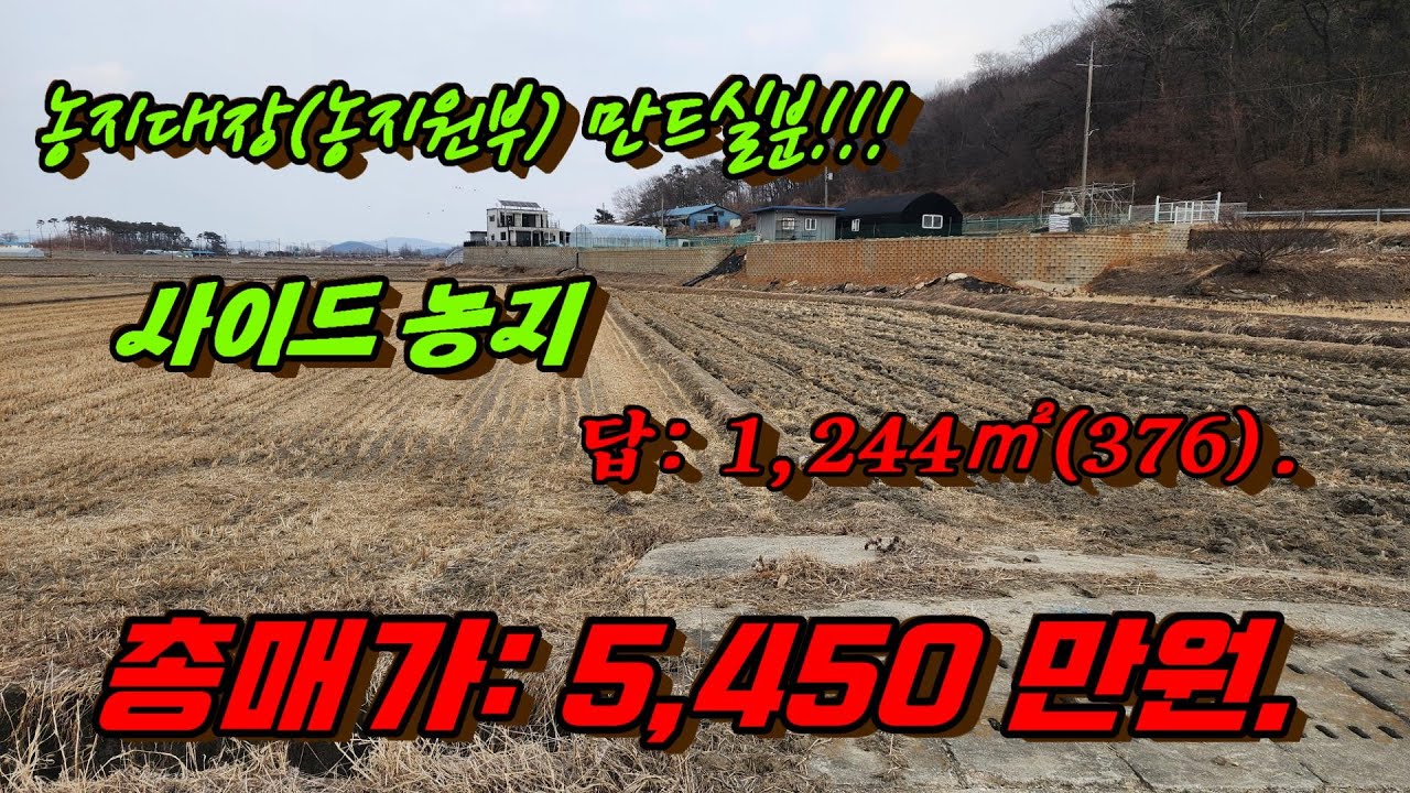 강화도 농지대장 만드실분 보세요!!! 산자락 인근 농지매매,착한가격.