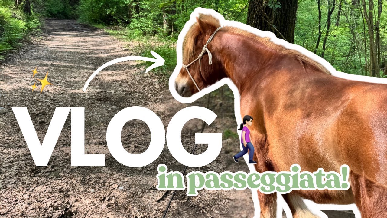 La PRIMA PASSEGGIATA con TUTTI I MIEI CAVALLI: che emozione! 🐴🚶🏻&zwj;♀️&zwj;➡️🌸