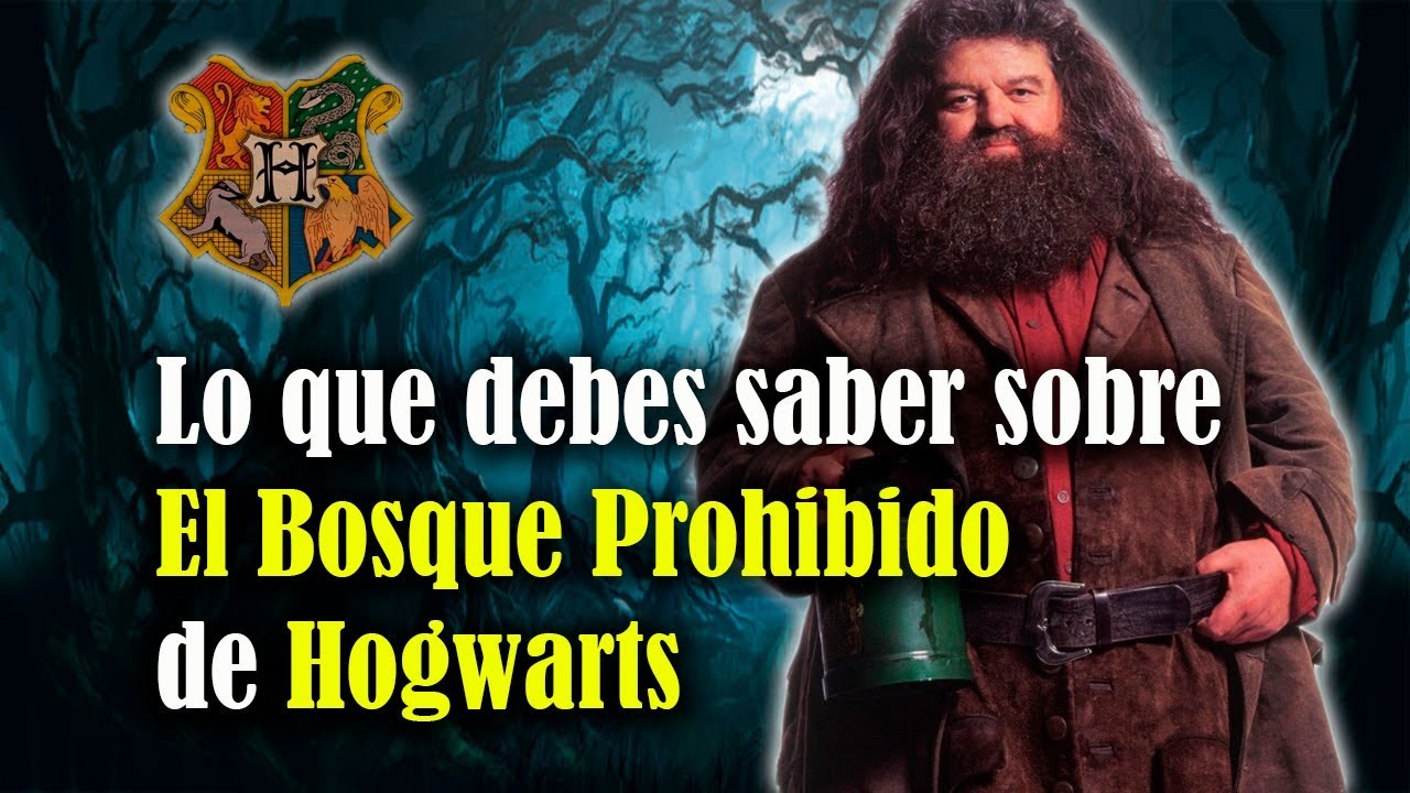 Lo que debes saber sobre El Bosque Prohibido de Hogwarts