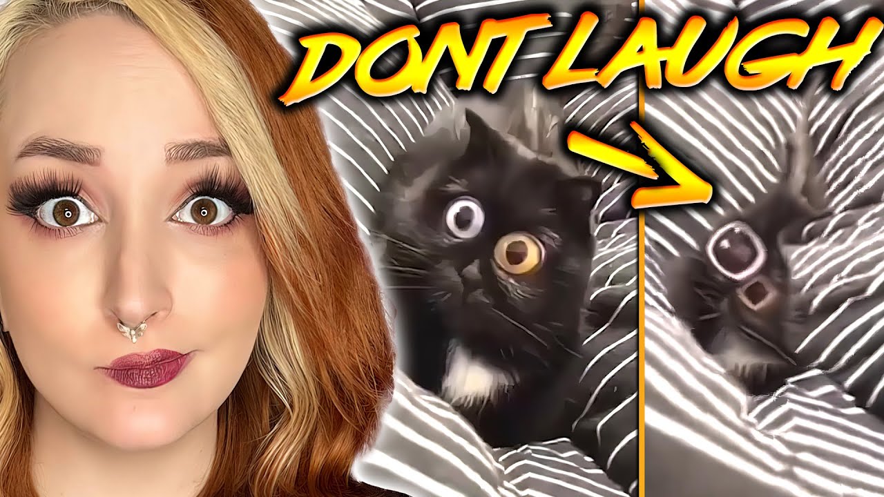 When You Get The GOOD SUCC | Try Not To SMILE or LAUGH | 103