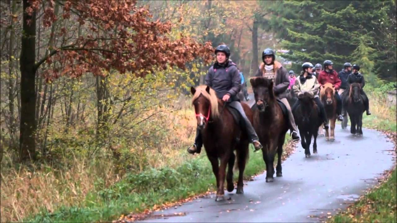 ISLÄNDERHOF RUTENMÜHLE - Grünkohlritt 2013