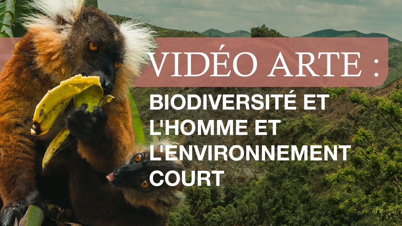 Vidéo ARTE : Biodiversité et L'Homme et l'Environnement court