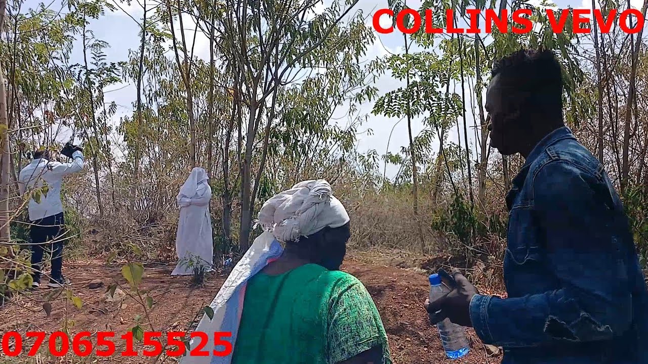 Collins is back.....brethren is shocked ...is the vision true ????