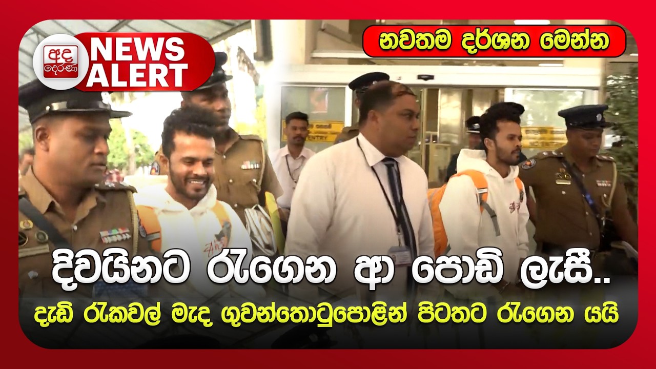 🔴NEWS ALERT: දිවයිනට රැගෙන ආ 'පොඩි ලැසී' ගුවන්තොටුපොළින් පිටතට රැගෙන යයි... සුවිශේෂී දර්ශන මෙන්න