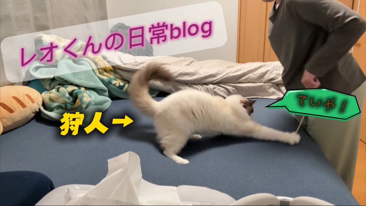【走り回りたいお年頃】ほのぼの遊びタイム😻✨
