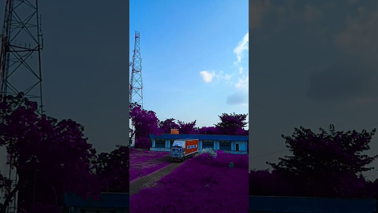 #purpleworld