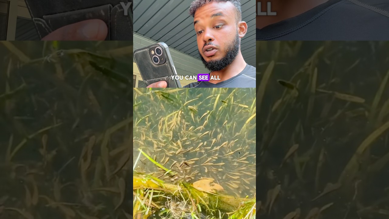 The Most INVASIVE Fish in Florida