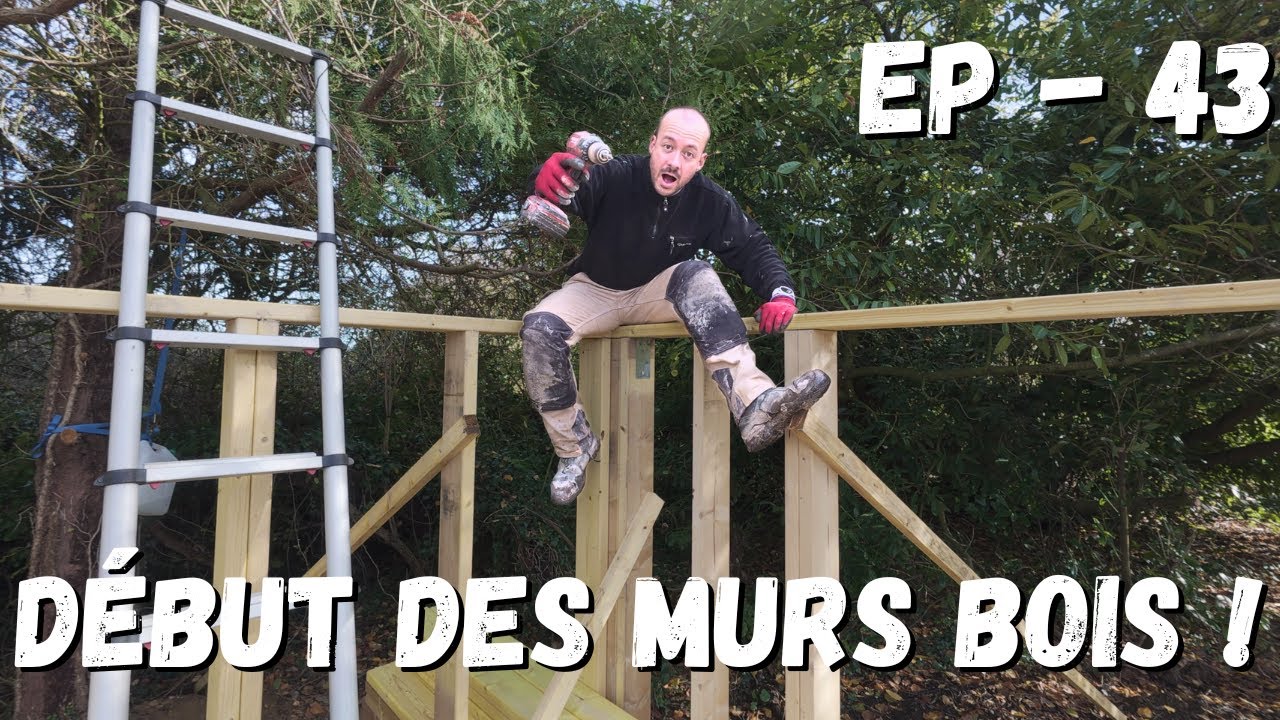 Murs à ossature bois ! Premiers murs montés ! (Énorme avancée) [EP-43]