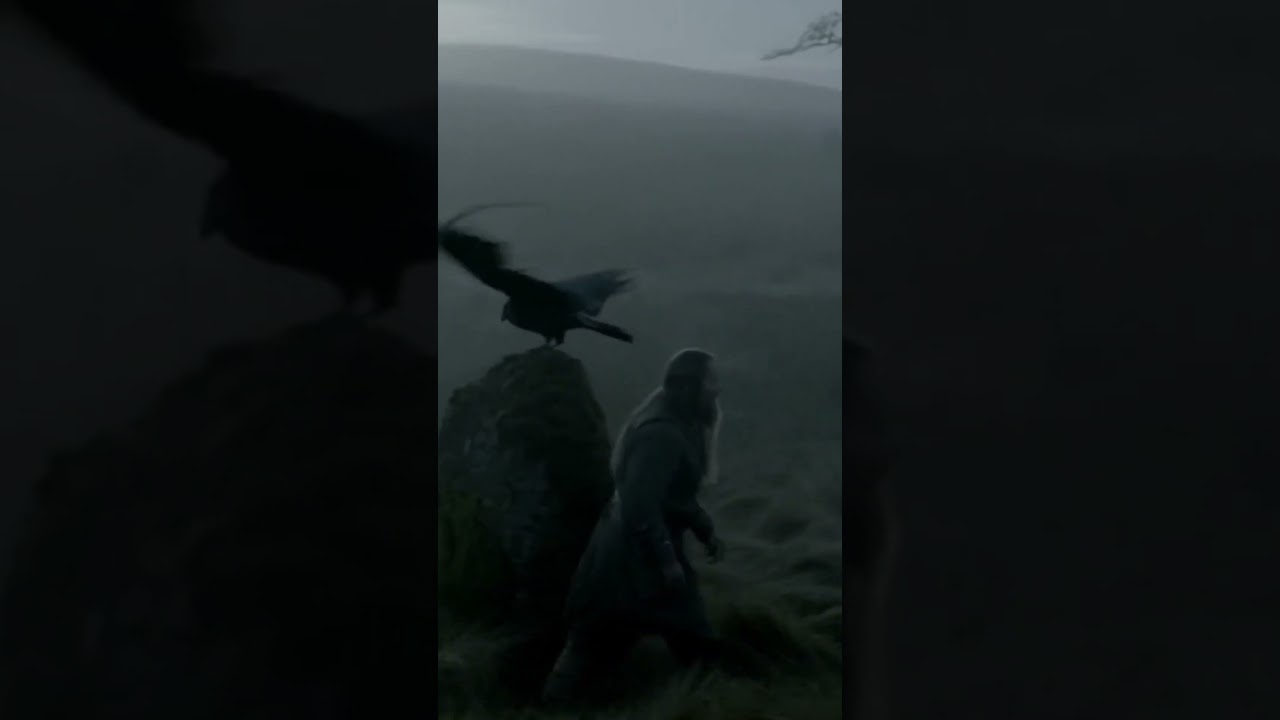 Two Corbies