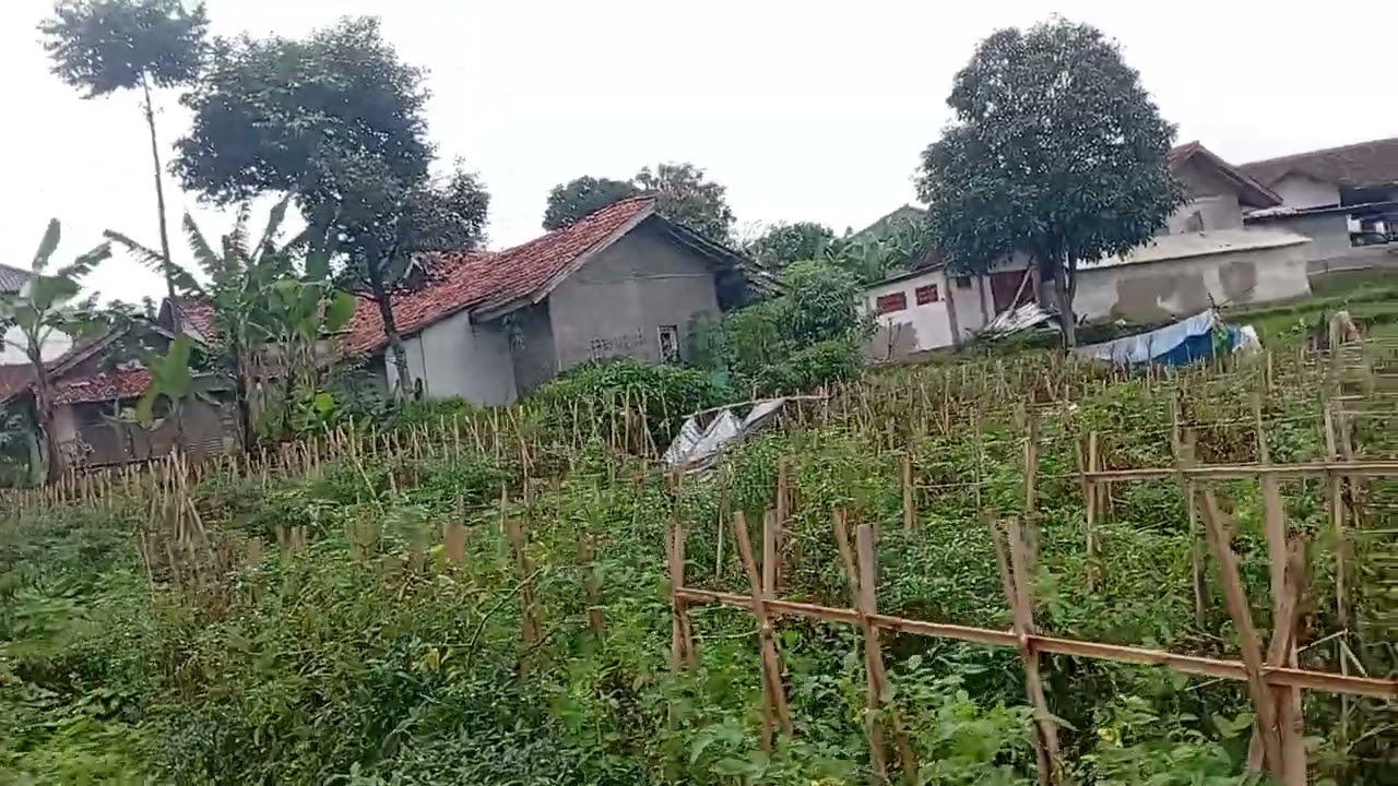 Milarian hela tomat dugi ka kebonna ari pek nuju te aya nu ngadanelna ge,,