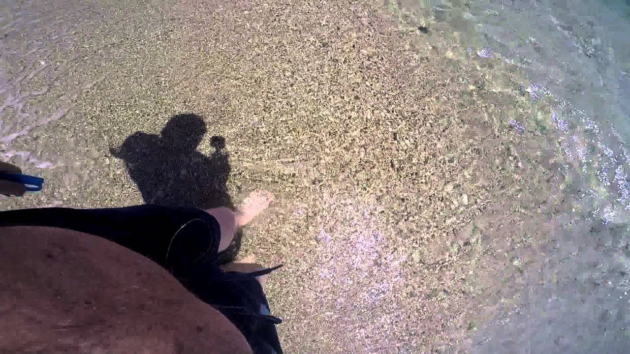 2015 Leila Playa