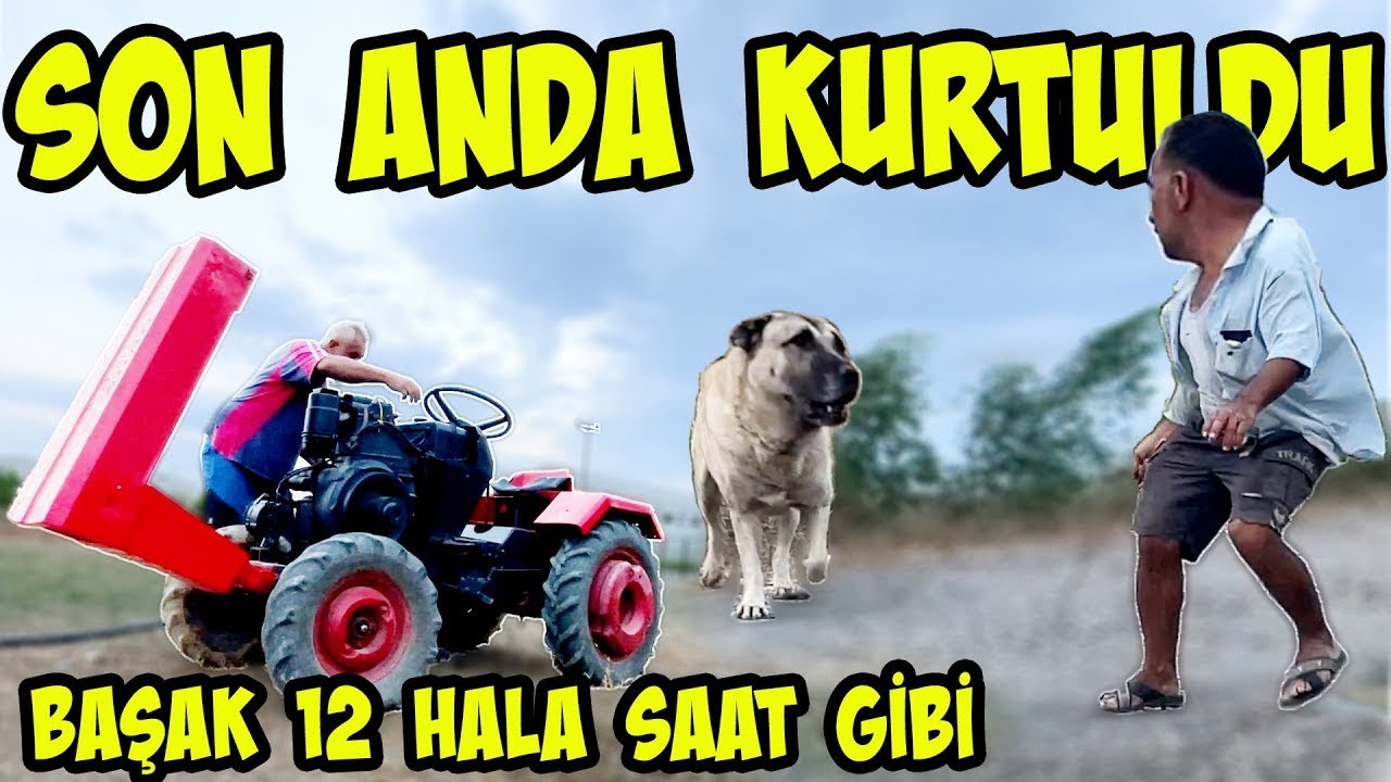 KANGALI KIZDIRDI UCUZ KURTULDU  / BAŞAK 12 TRAKTÖRÜN KAZAYAĞI ( KÜLTİVATÖR ) İÇİN ÖNEMLİ BİLGİLER