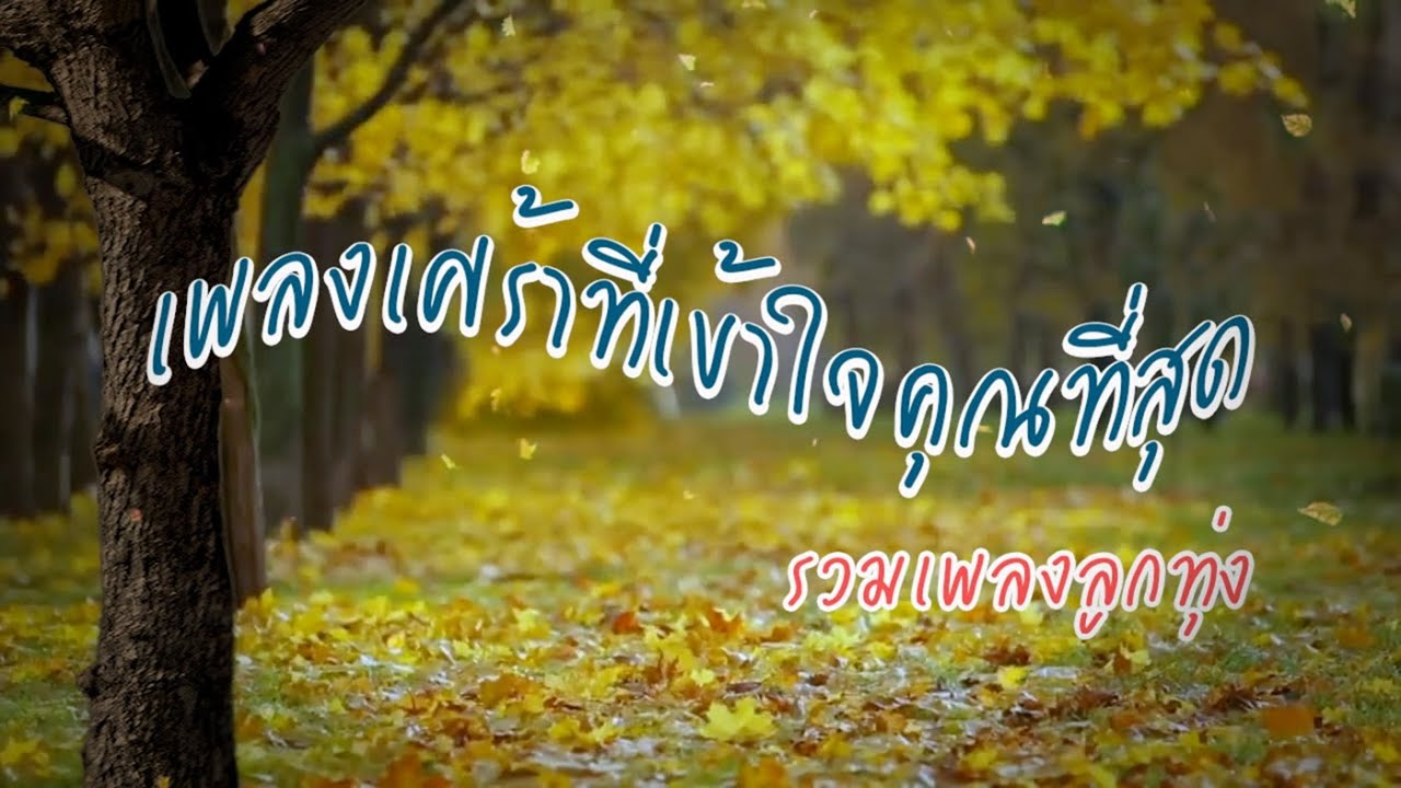 เพลงเศร้าที่เข้าใจคุณที่สุด รวมเพลงลูกทุ่งชัวร์