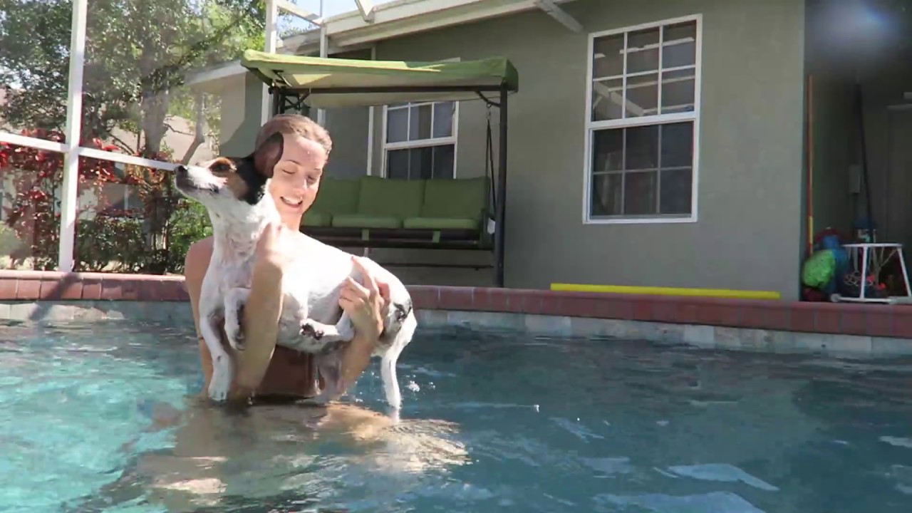 PUPPY POOL TIME!!! (3.20.15 - Day 2152)