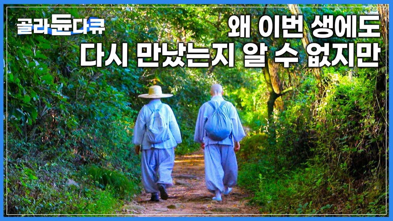'현생에 지친 당신을 위한 영상' 지구 반대편에서 태어났지만 같이 수행 중입니다│깊은 산 길을 나란히 걷는 두 스님 이야기│외국인 스님│경주 칠불암│한국기행│#골라듄다큐