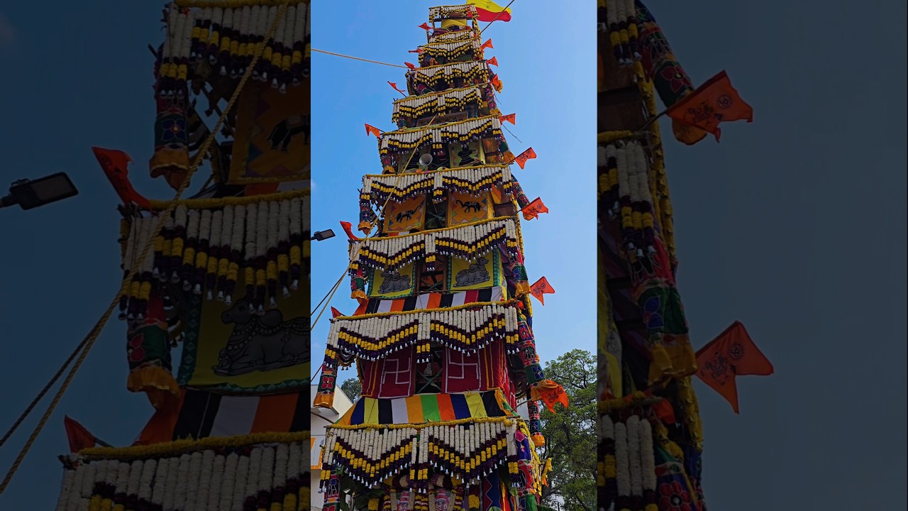 Huskur jatre - Medium level Kurju#bengaluru