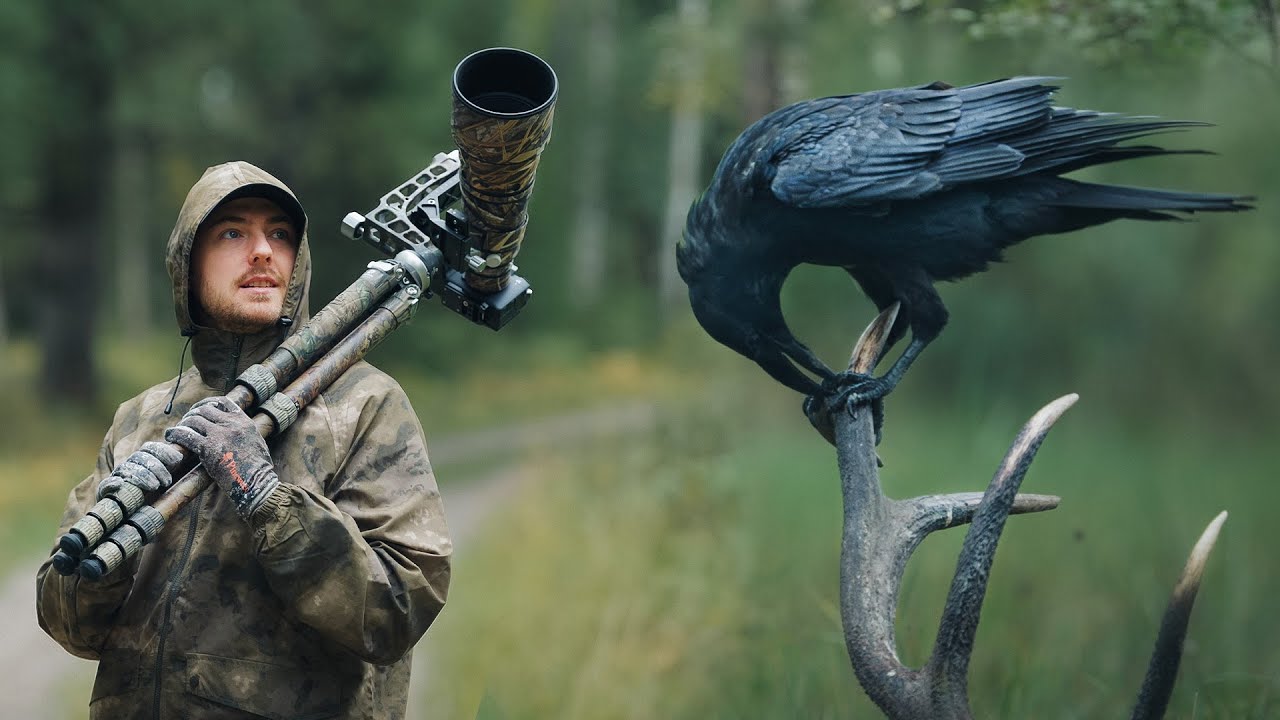 How Nature's Brutality led to my Favorite Photo
