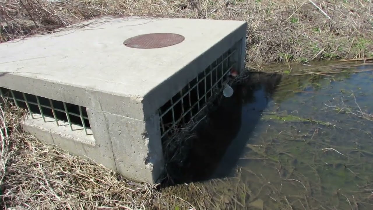 Releasing Water in Drain Blocked by Reeds