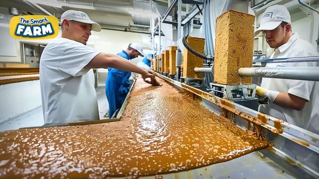 ПОТРЯСАЮЩАЯ фабрика протеиновых батончиков! Вот как производятся ваши протеиновые батончики!