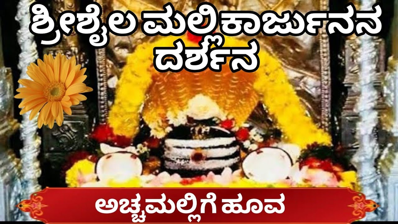 ಸುಕ್ಷೇತ್ರ ಶ್ರೀಶೈಲ ಮಲ್ಲಿಕಾರ್ಜುನ ದೇವಸ್ಥಾನಕ್ಕೆ ಪಾದಯಾತ್ರೆ /ಅಚ್ಚಮಲ್ಲಿಗೆ ಹೂವ#vídeoviral#lordmahadev