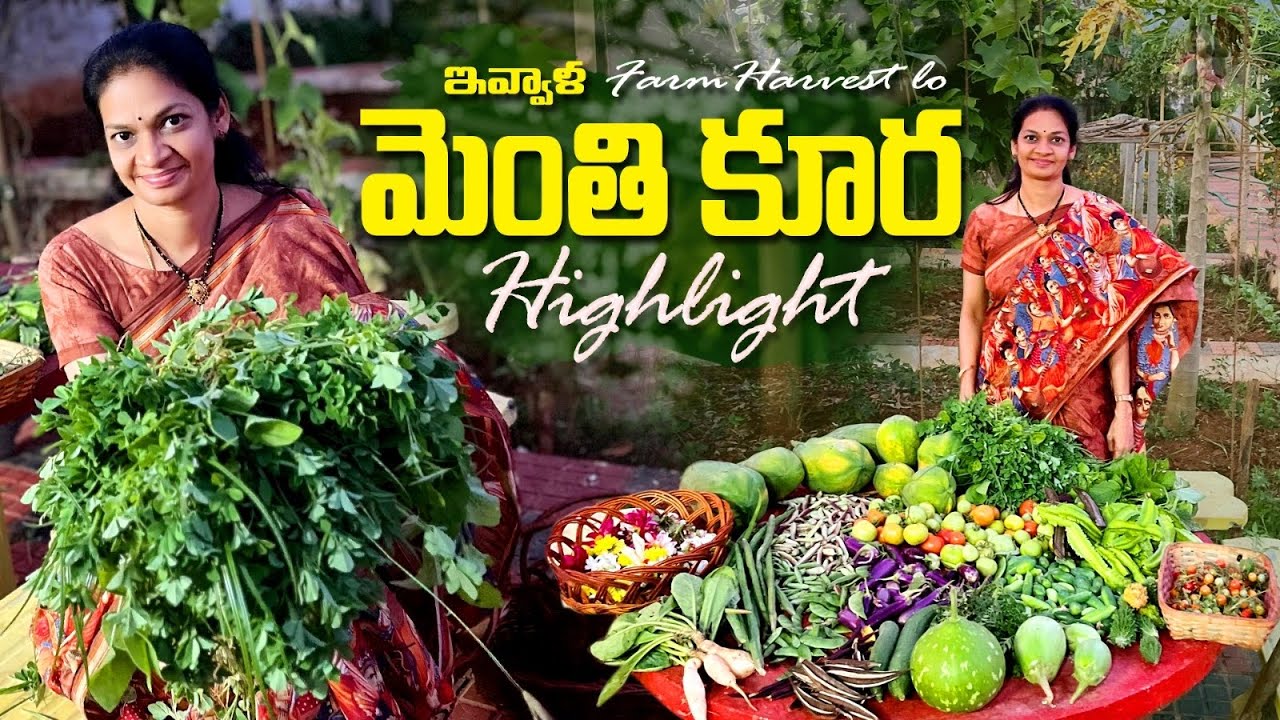 FarmHarvest/ సీజన్ మారేటప్పుడు ఆకుకూరలు వేసుకుంటే దిగుబడి తగ్గదు