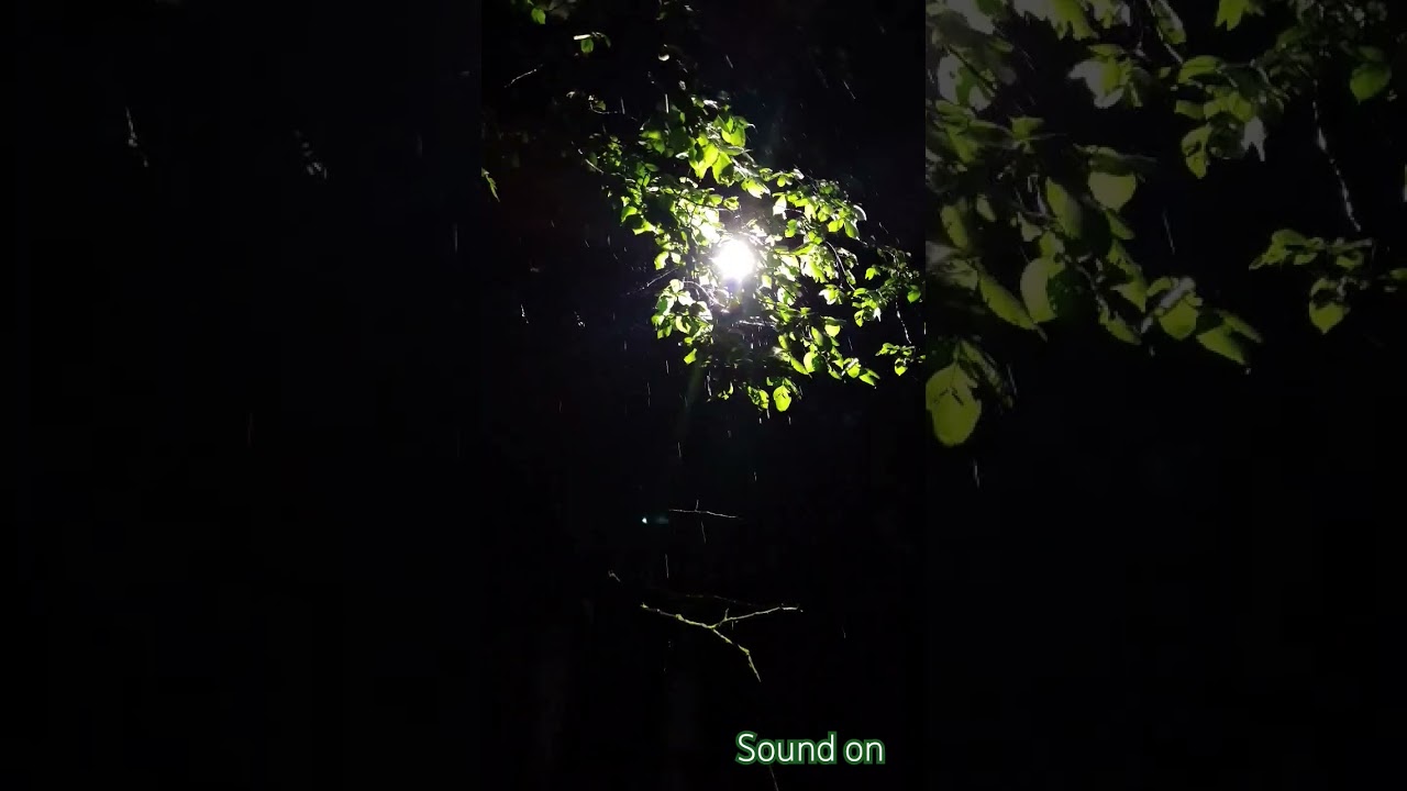 night rain
