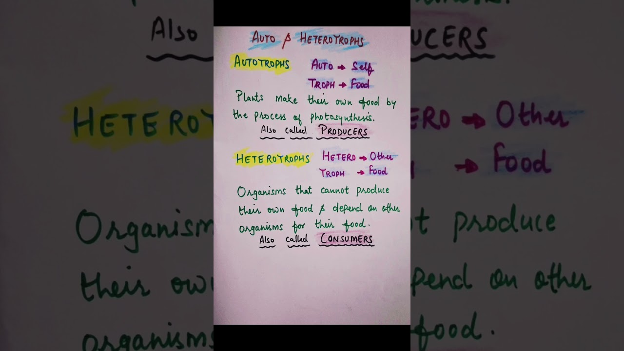 Autotrophs & Heterotrophs|class 8 science|curiosity| chapter 12|ncert |How Nature Works in Harmony