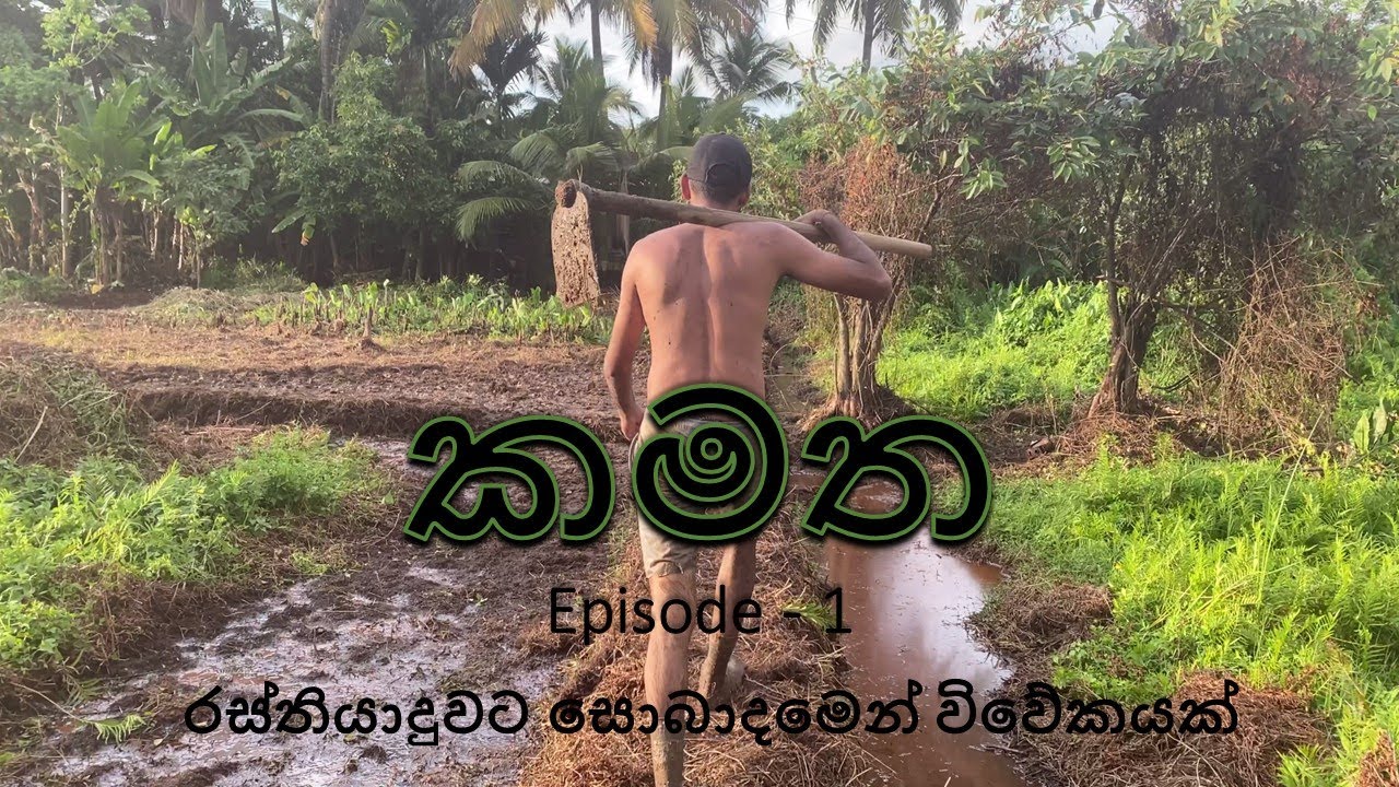 Puran Kuburu Aswaddamu (පුරන් කුඹුරු අස්වද්දමු)   කමත - Episode 01