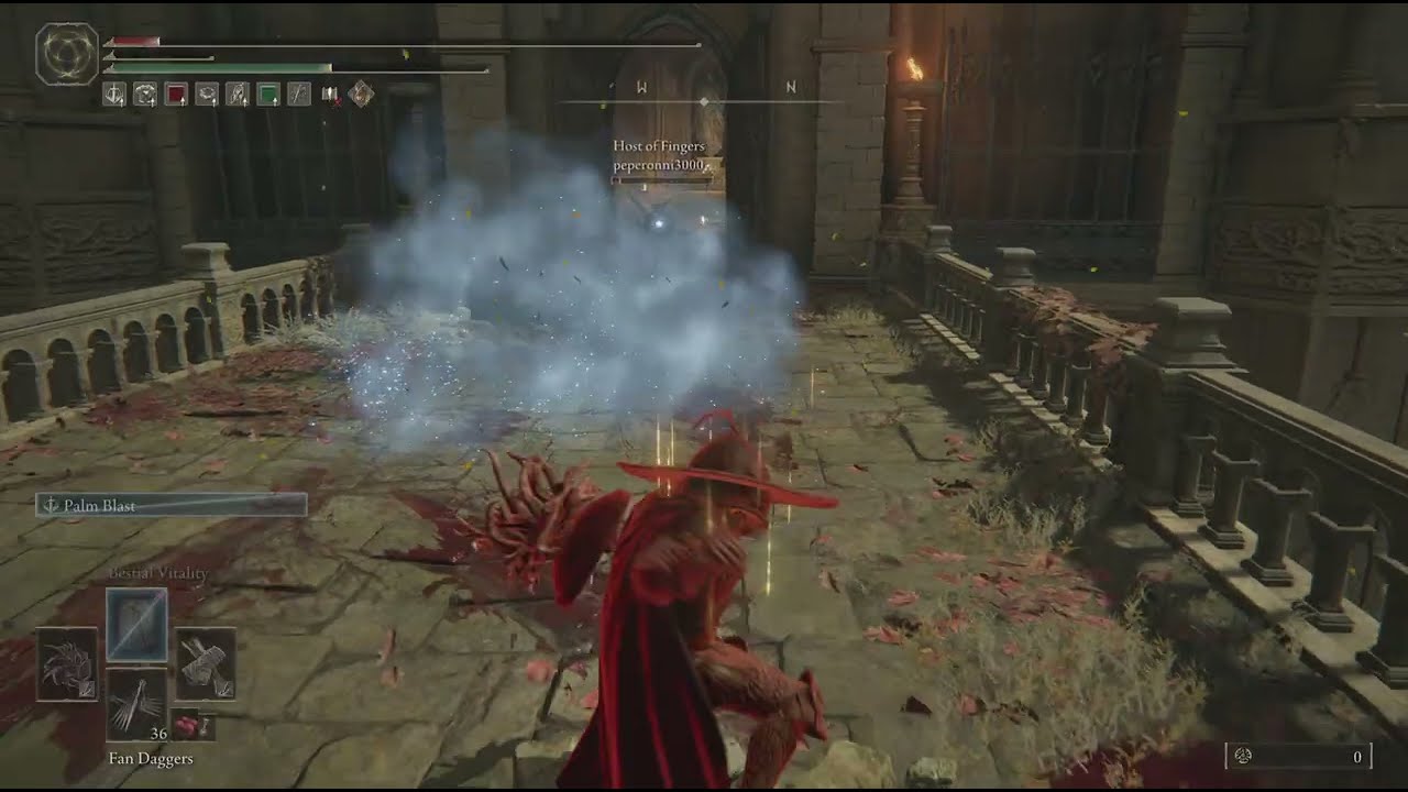 Friendly Sparring Duel Dryleaf vs. Mage Axe | Elden Ring PvP