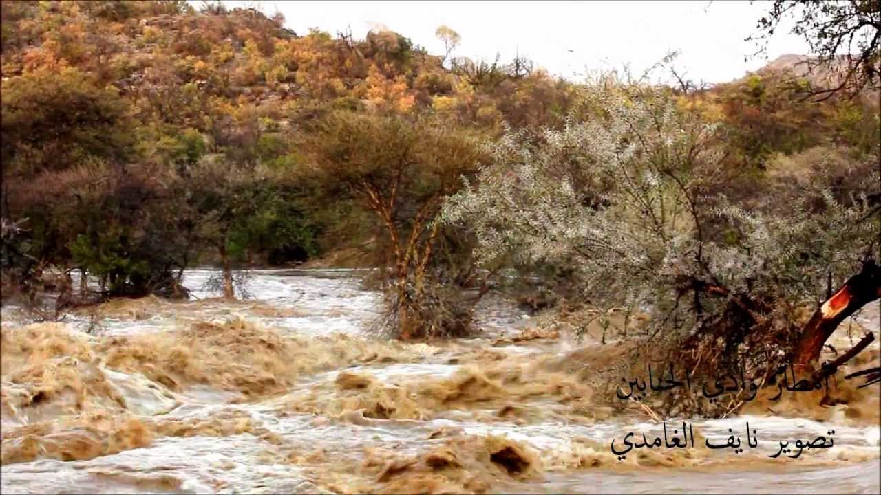 أقوى أمطار وسيول مرت على محافظة بلجرشي بجودة HD