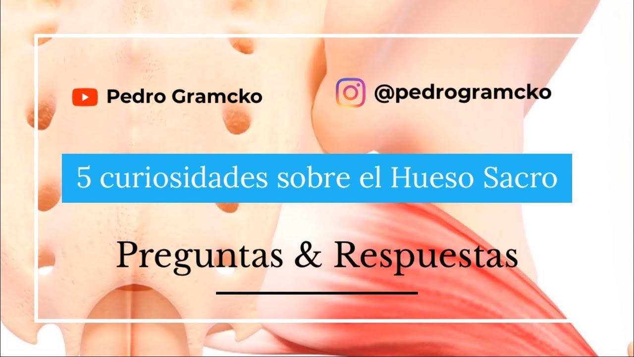 Hueso Sacro, 5 curiosidades que tal vez no sab&iacute;as sobre &eacute;l. #hueso #sacro #anatom&iacute;a