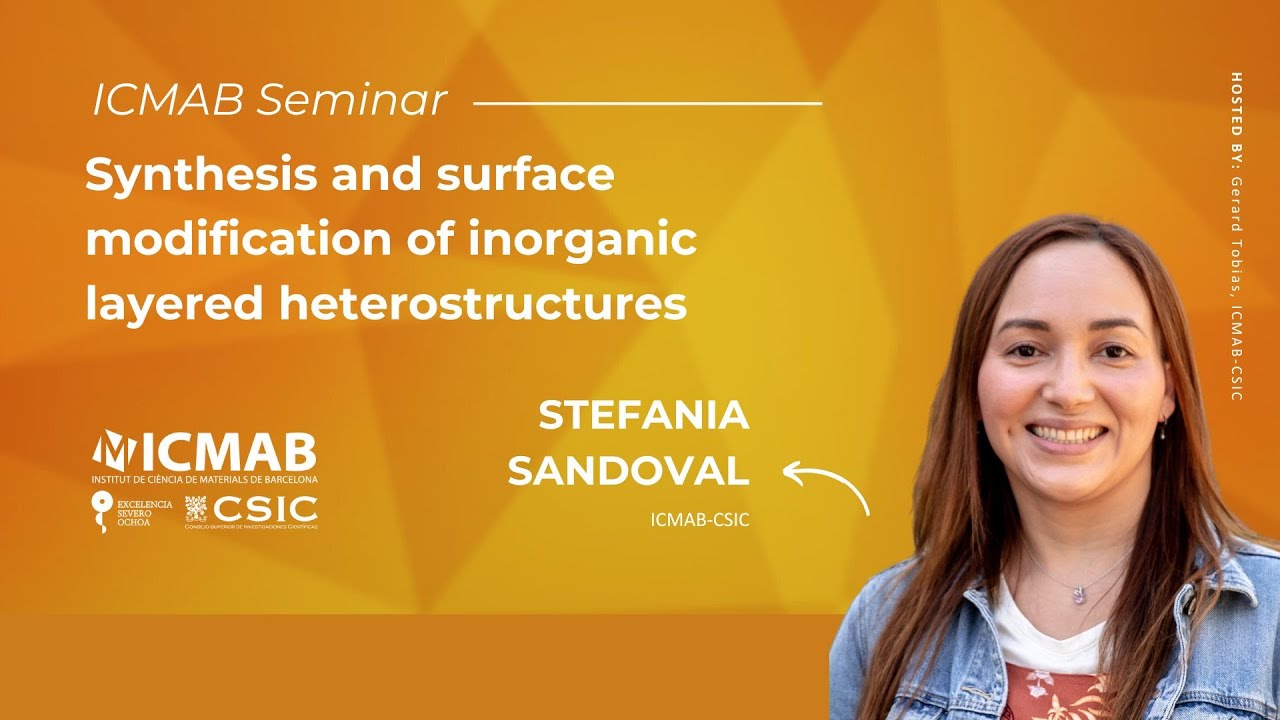 Synthesis and surface modification of inorganic layered heterostructures