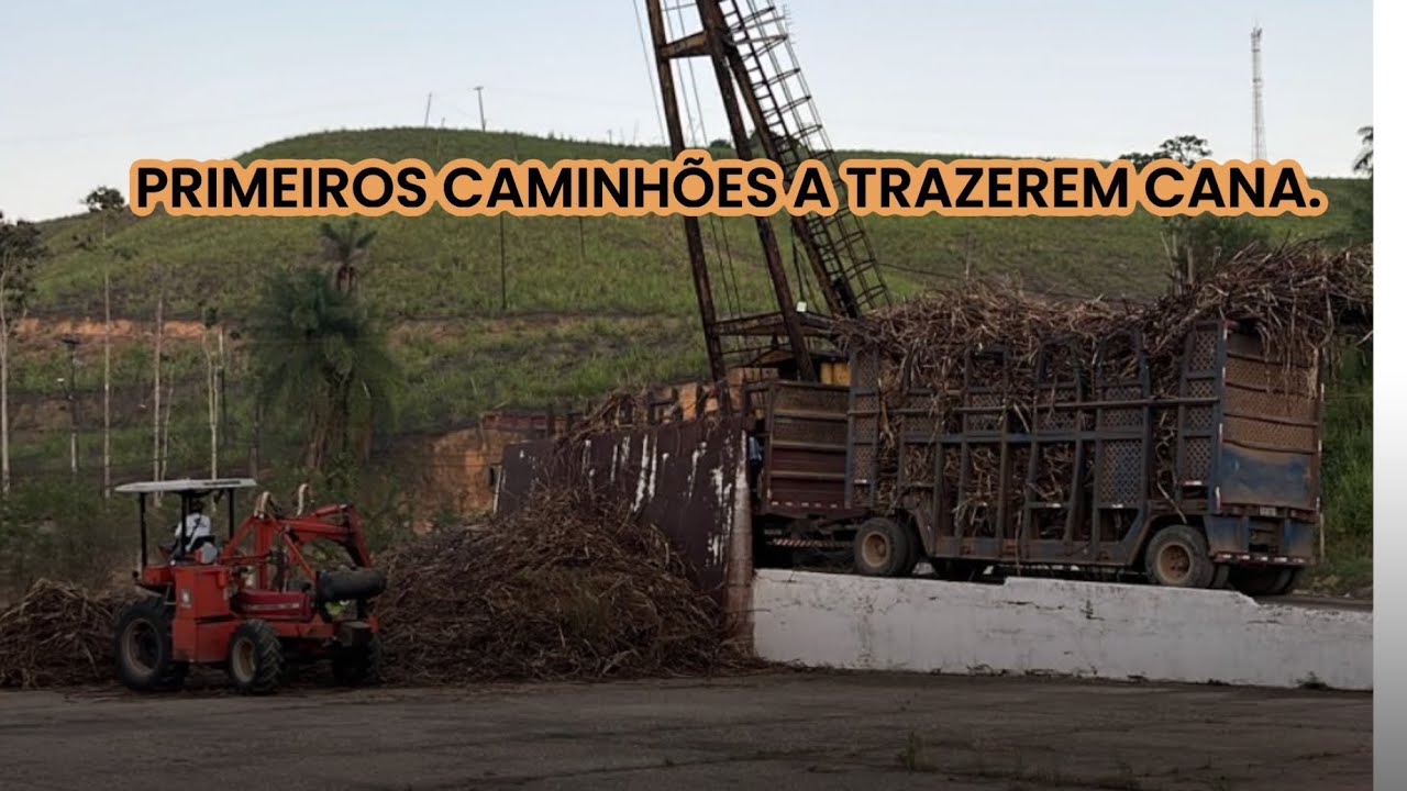 USINA SANTO ANDRÉ VAI COMEÇAR MOER. CHEGAM AS PRIMEIRAS CANAS.