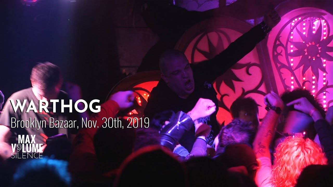 WARTHOG live at Brooklyn Bazaar, Nov. 30th, 2019 (FULL SET)