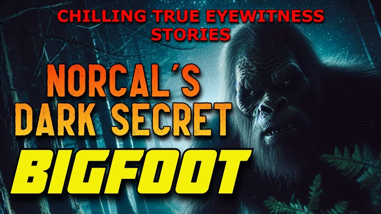 NORTHERN CALIFORNIA'S DARK SECRET - TRUE BIGFOOT ENCOUNTERS