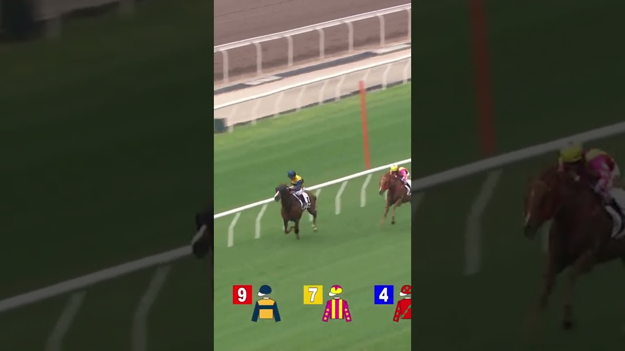 SEA SAPPHIRE - A. Badel #Racing #Sport #賽馬短片 #Badel