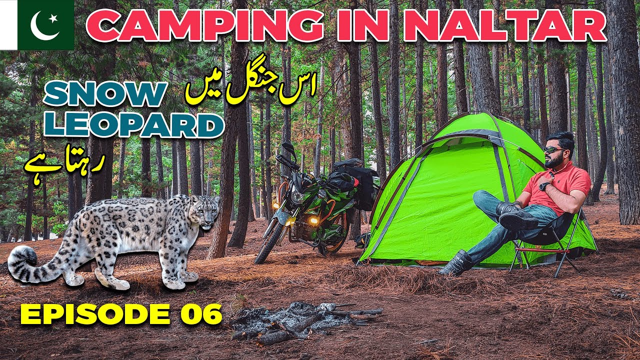 We Camped in Deep Jungle in Snow Leopard Territory | Road to Naltar Valley Episode 6 | Ammar Biker