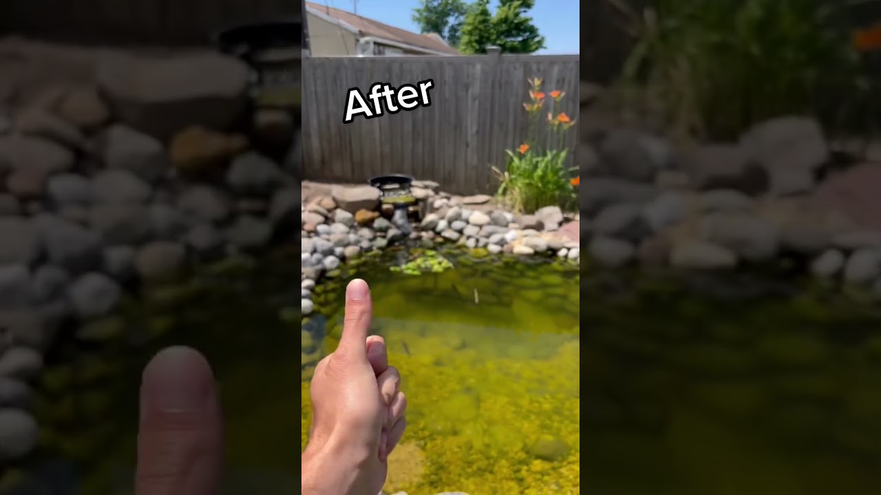 HOW DID WE DO ON THE DIY POND&hellip;.?????