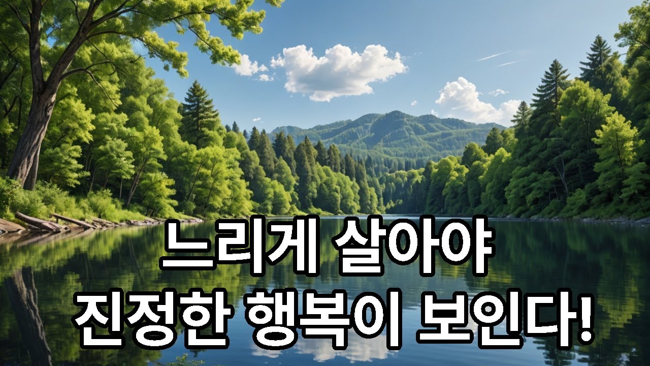 마음을 천천히 들여다보면 감정이 제자리를 찾는다 | 마음이 복잡할 때 꼭 보세요 | 감정이 제자리를 찾는 노자의 지혜 | 시니어 마음치유