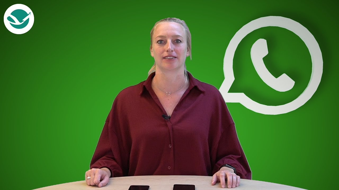 Webinar WhatsApp