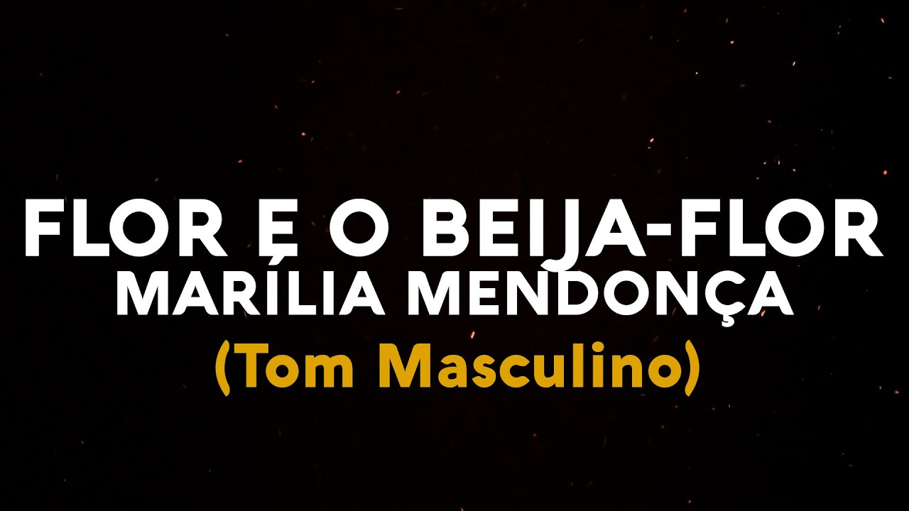 KARAOKÊ | Marília Mendonça - Flor e o Beija-Flor | Playback (TOM MASCULINO)