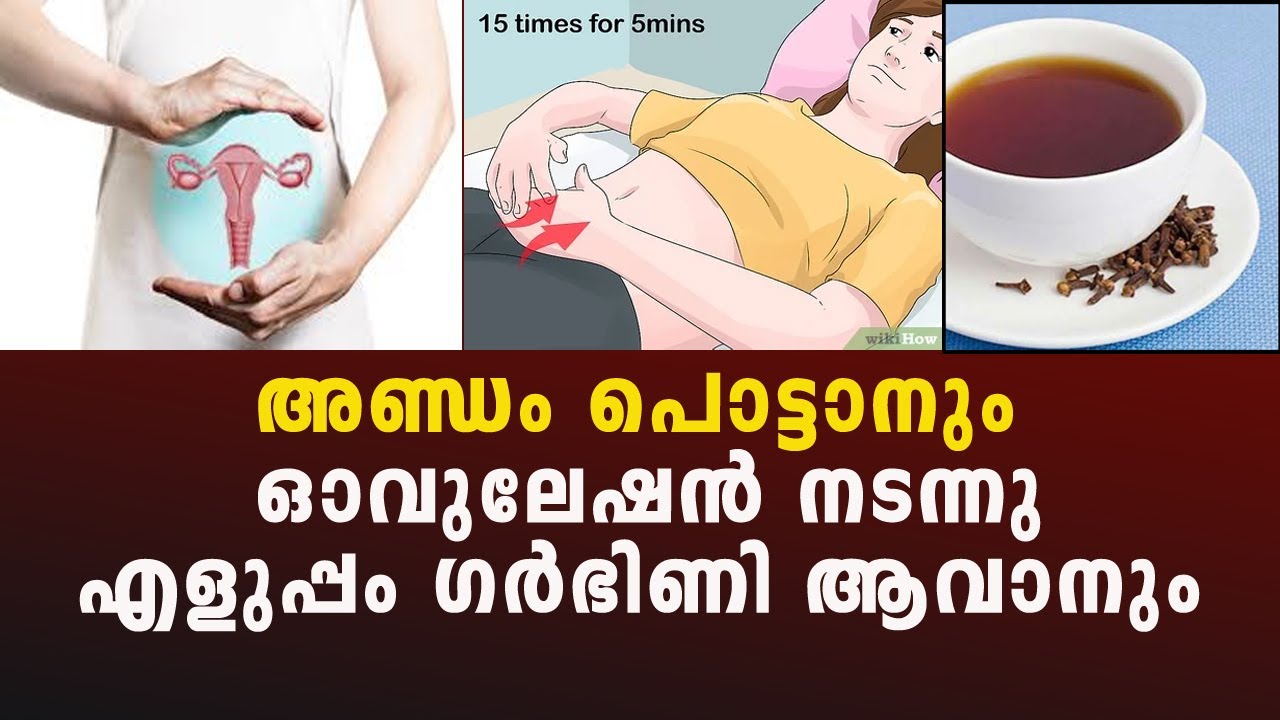 അണ്ഡം പൊട്ടാനും ഓവുലേഷന്‍ നടന്നു എളുപ്പം ഗര്‍ഭിണി ആവാനും  Increase Your Chances by healthy Ovaries