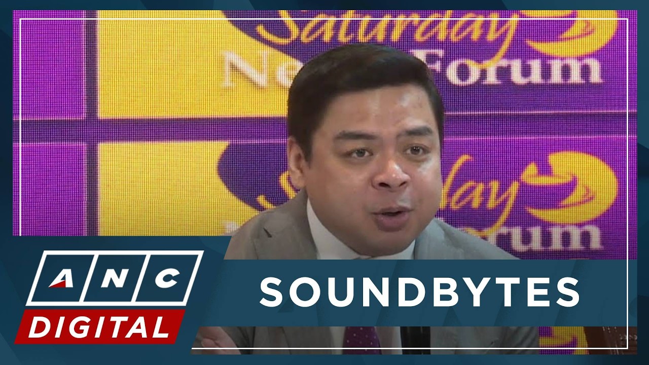 Ridon: Subpoena of VP Duterte, husband's tax, business records could explain P50-M ‘gap’ in SALN